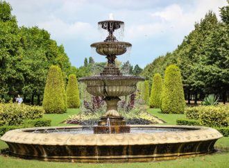 Własna fontanna w ogrodzie: Ożyw swoją przestrzeń wodnym akcentem